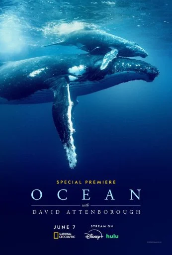 Дэвид Аттенборо: Океан (2025)